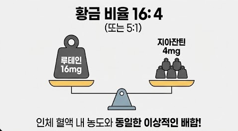 루테인 지아잔틴