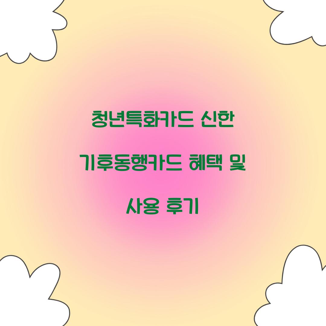 청년특화카드 신한 기후동행카드