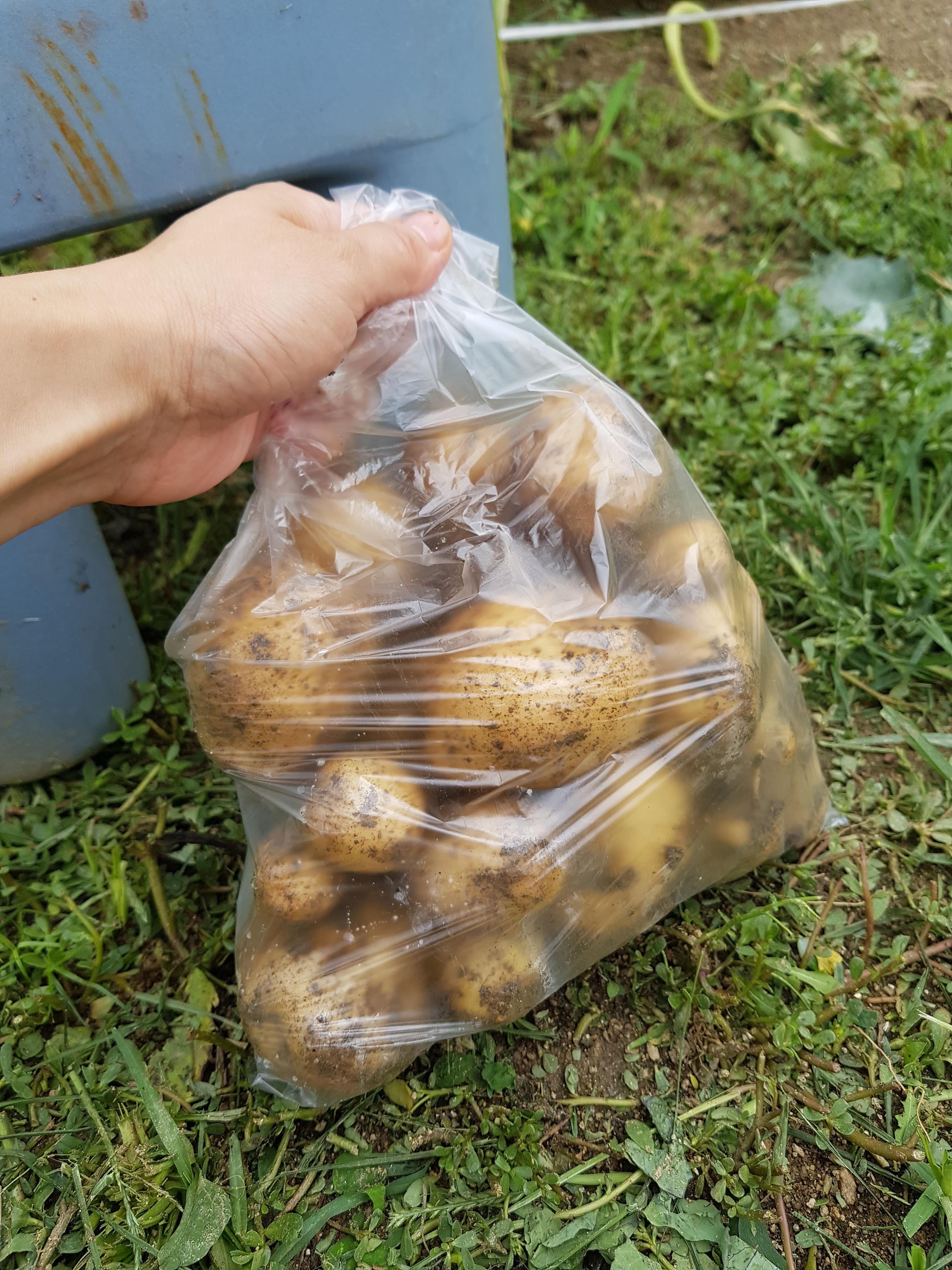 2026년 지금 가지고 있는 토지를 계속 보유해도 괜찮을까?