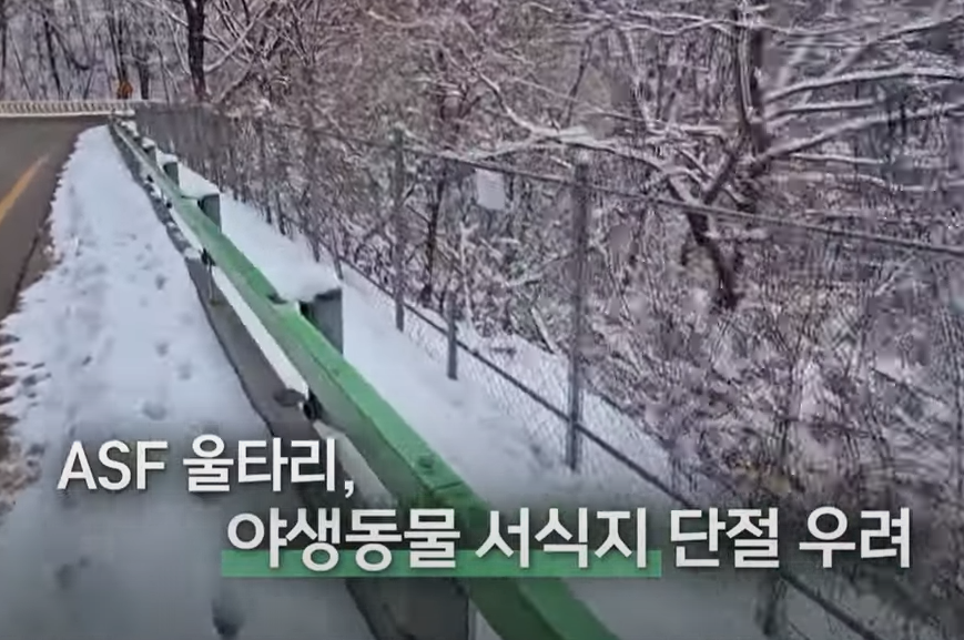 울타리