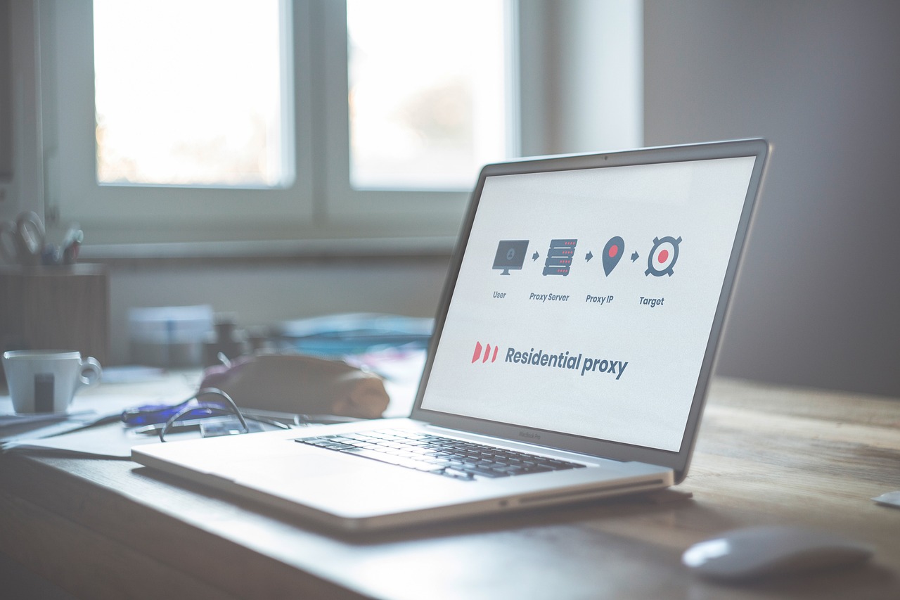 IP 확장형 콘텐츠