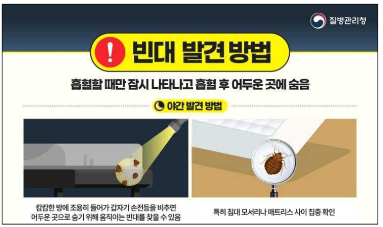 빈대발견방법-야간