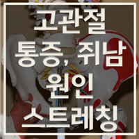 고관절 통증 원인 스트레칭