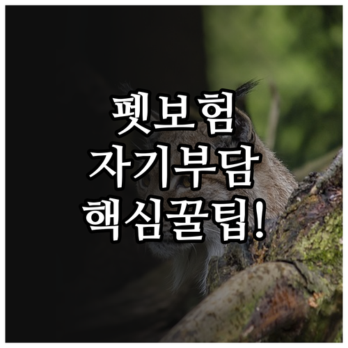 일배책 자기 부담금 최소화 펫보험 특..