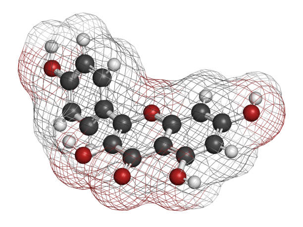플라보놀(flavonol) 효능