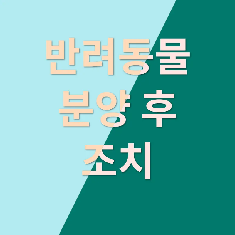 반려동물 분양_2