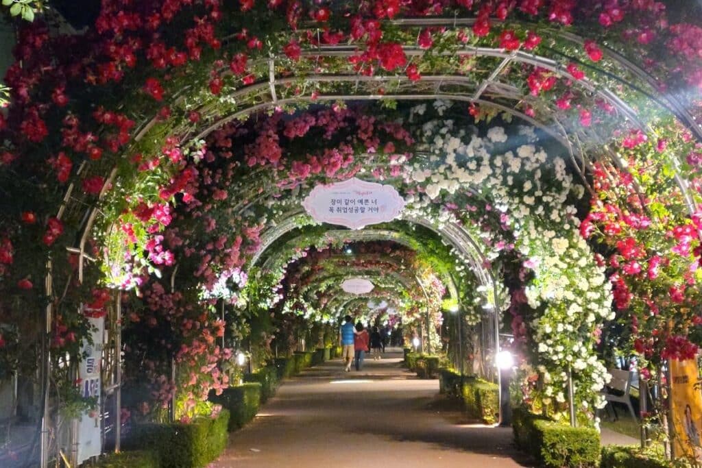 중랑-서울장미축제