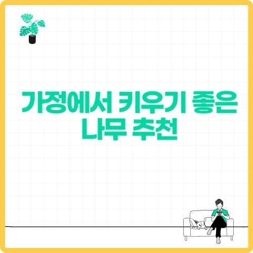 가정에서 키우기 좋은 나무 추천