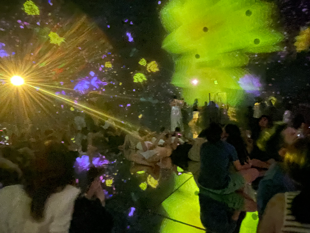 일본 도쿄 팀랩플래닛 관람-떨어지는 꽃들의 우주에 떠다니며