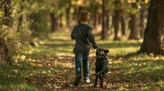 어린이와 강아지가 숲속 길에서 뛰어가고 있는 이미지