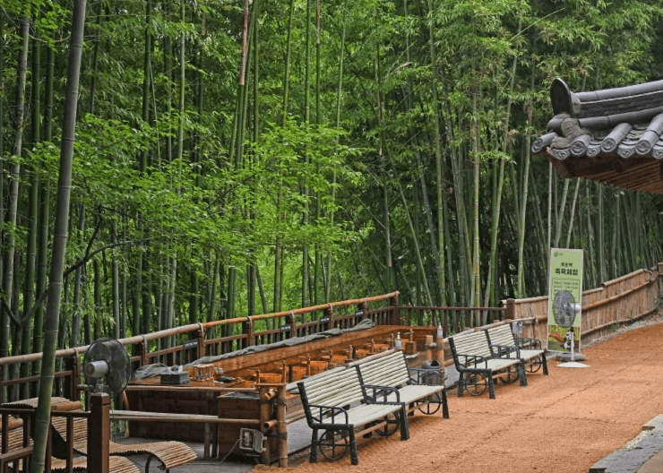 담양 가볼만한곳 베스트10