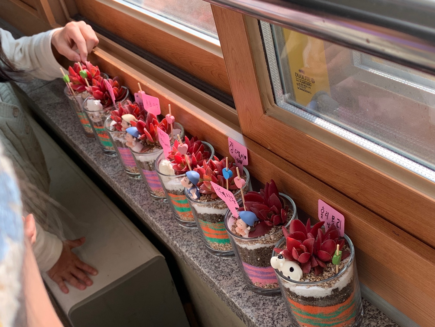 색모래 다육이 테라리움
경기 안양 동안구