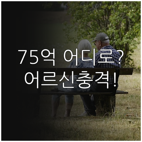2026년 어르신 스포츠 사업 75억..