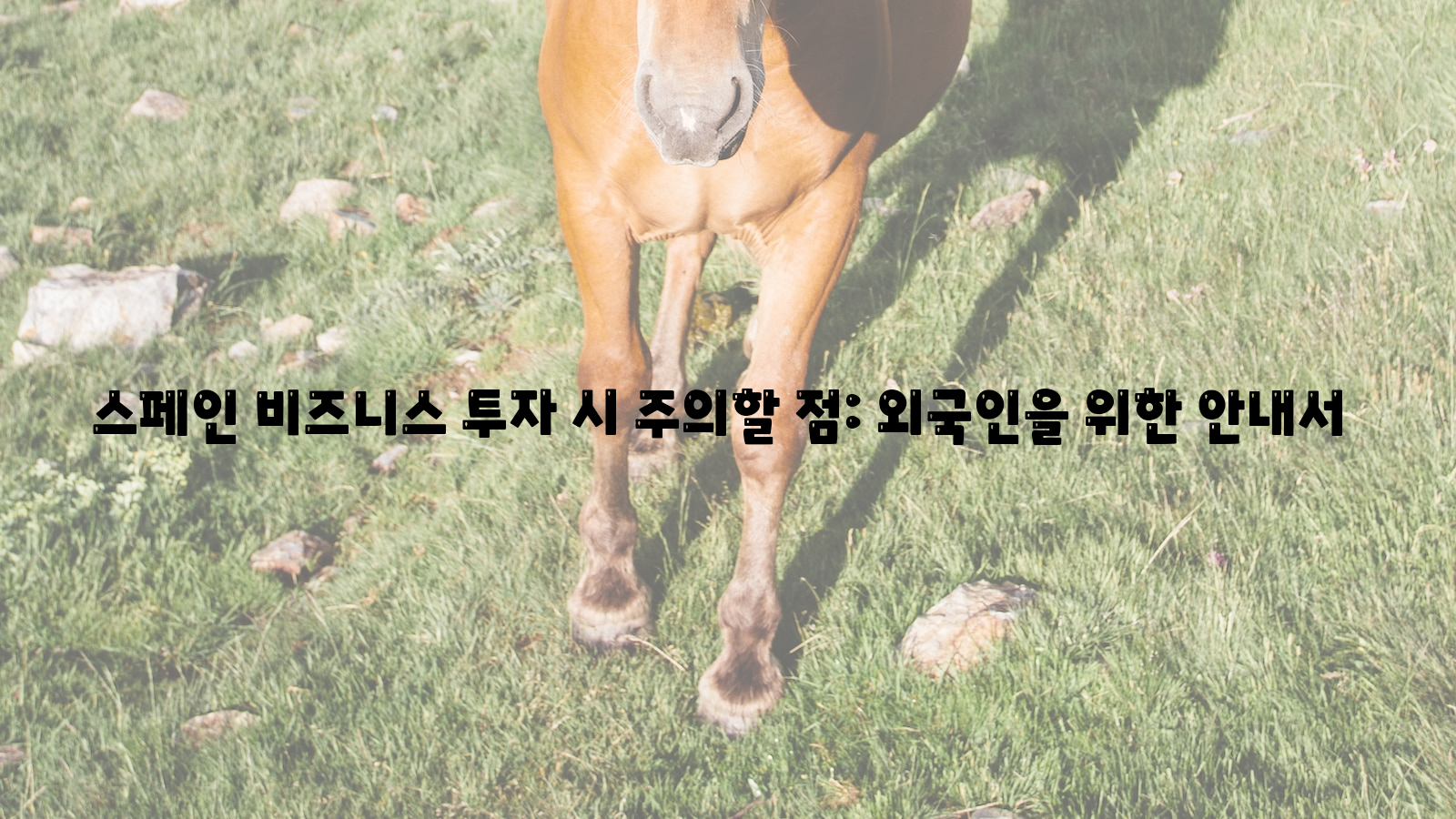 스페인 비즈니스 투자 시 주의할 점: 외국인을 위한 안내서 스페인, 비즈니스, 투자