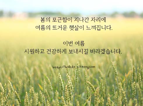 시원하게