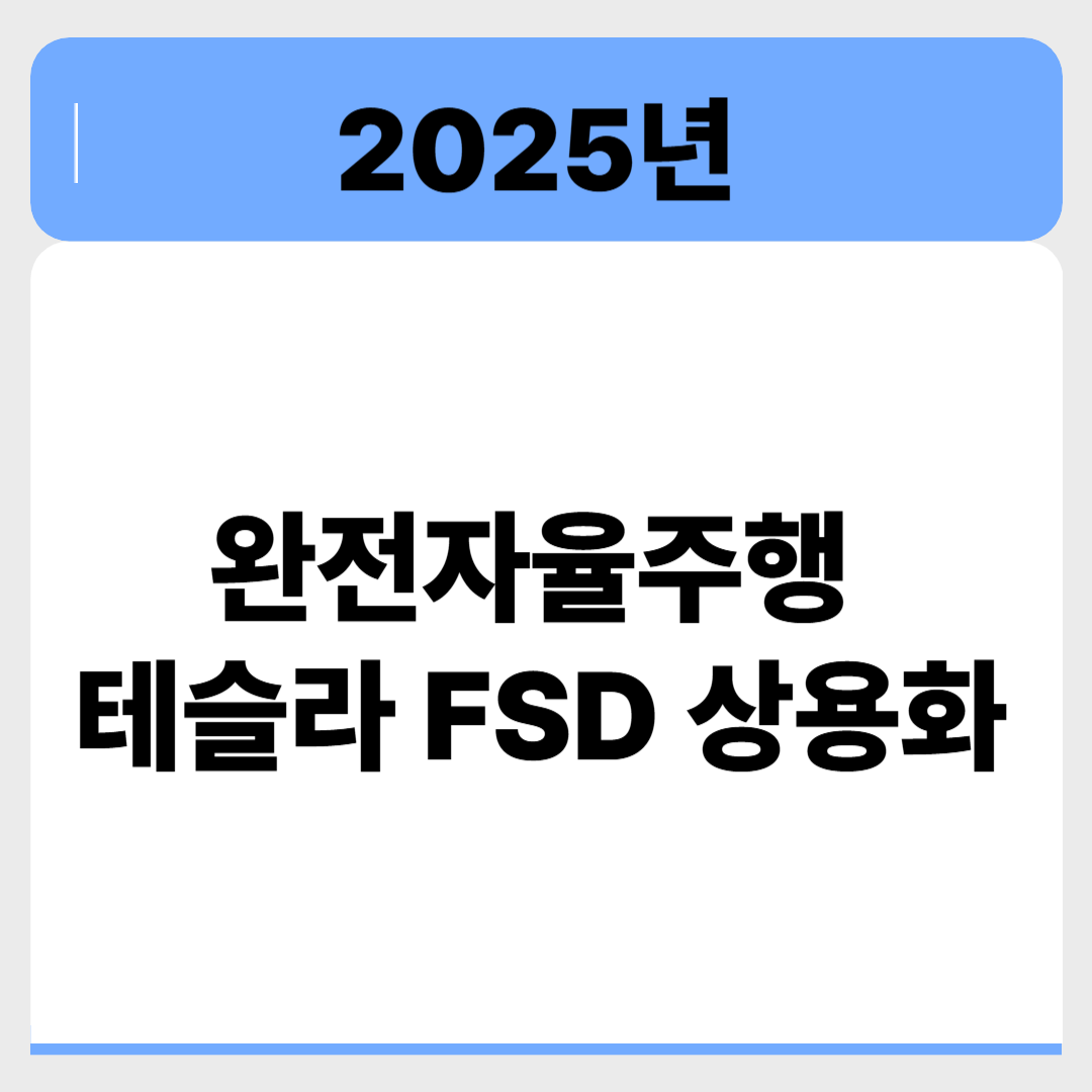 테슬라 FSD, 2025년 로보택시 시대 개막! 현실인가 과장인가? 관련 이미지