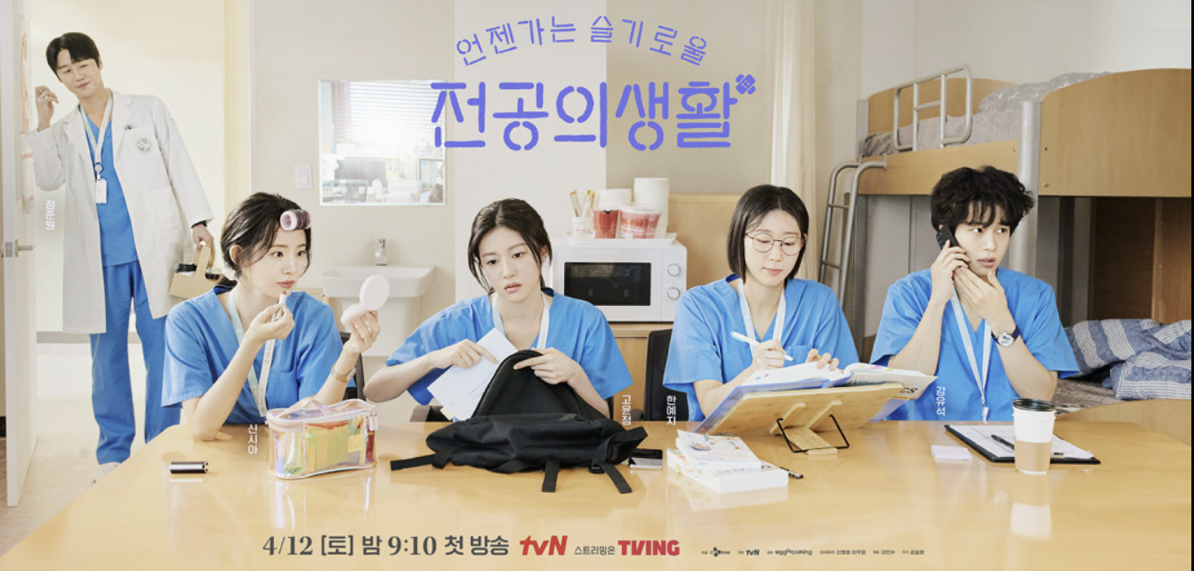 슬기로울 전공의생활 : 의사 로드맵 정리