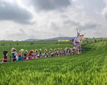 고창 청보리밭 축제_10