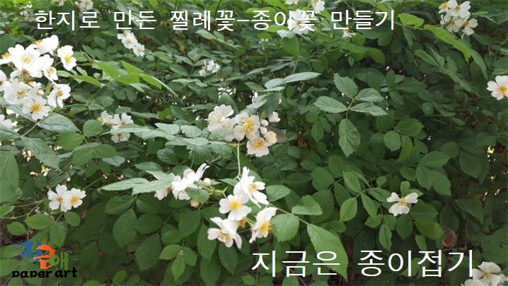 찔레꽃 나무에 얹어 놓은 종이로 만든 꽃은 사진의 중앙에 위치하고 있어요.