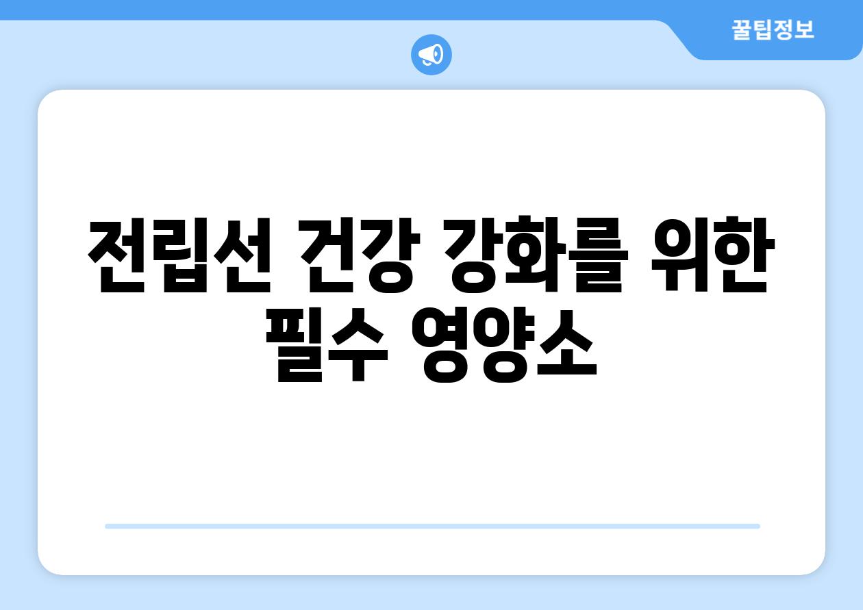 전립선 건강 강화를 위한 필수 영양소