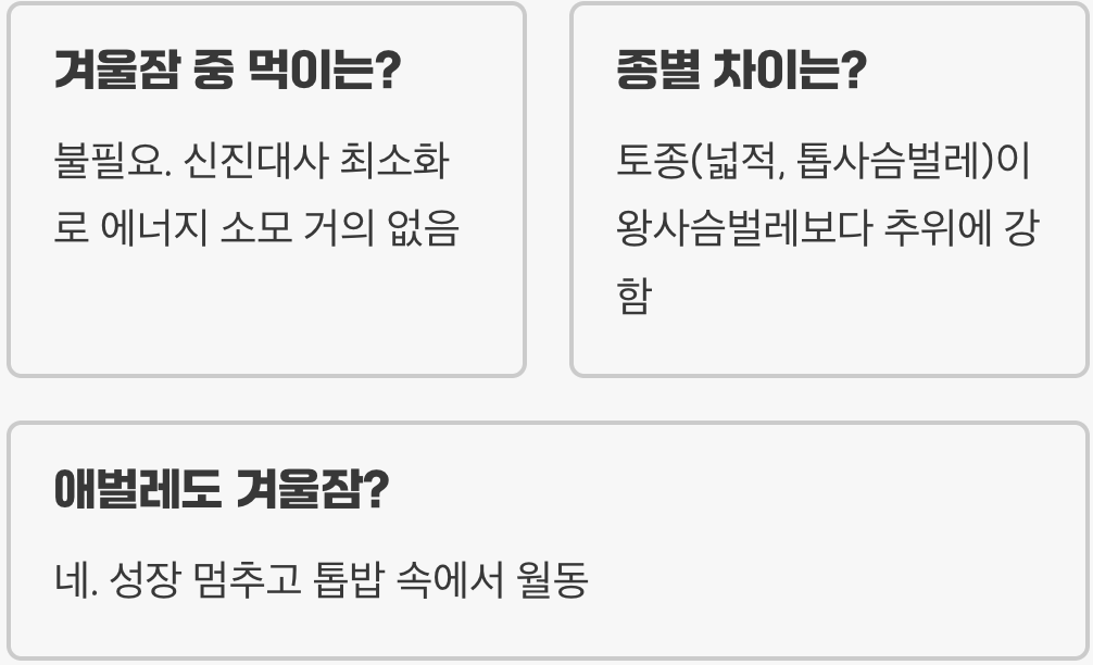 사슴벌레 겨울잠, 꼭 재워야 할까? (동면 관리)