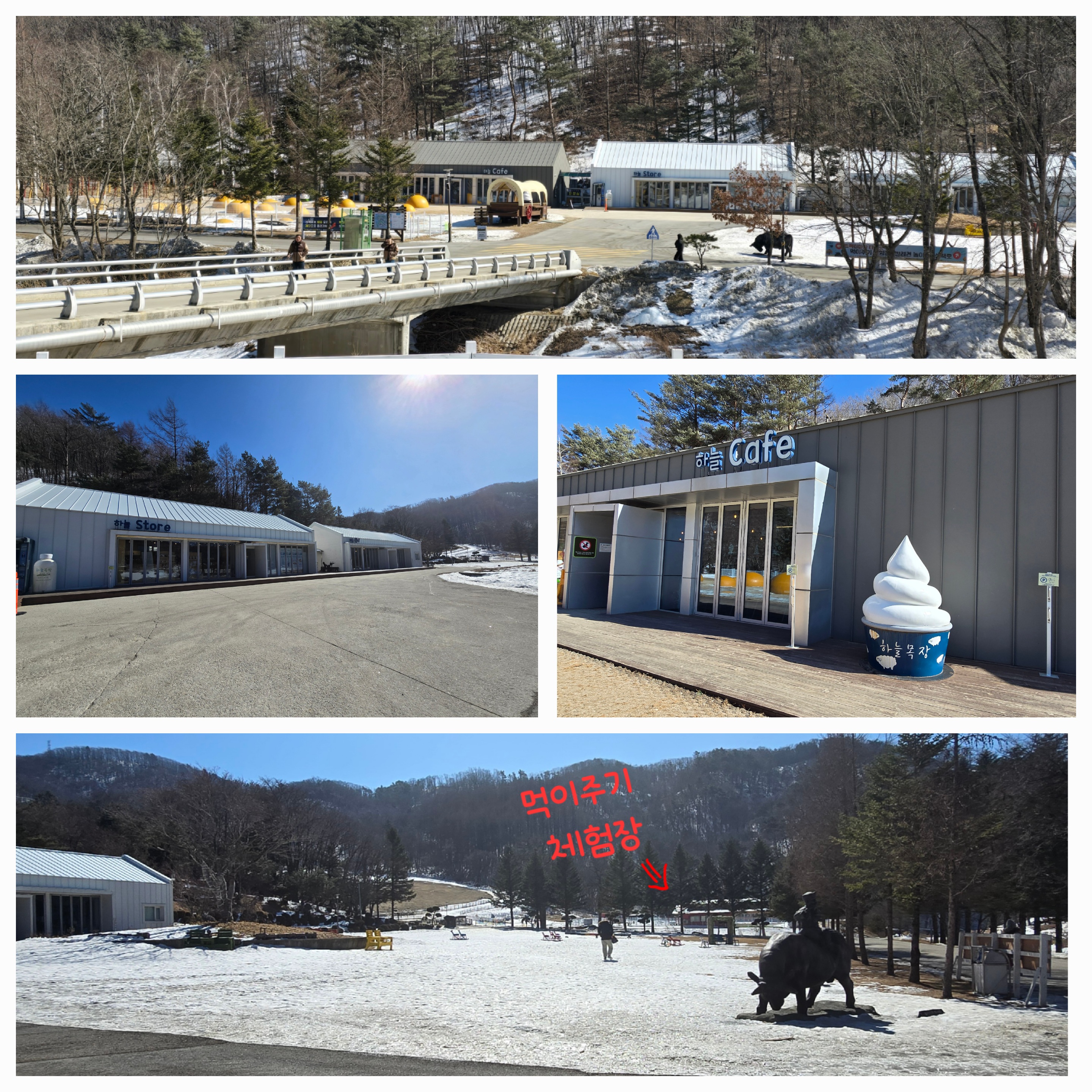 대관령 하늘목장 평창가볼만한곳 횡계가볼만한곳 .체험비.입장료