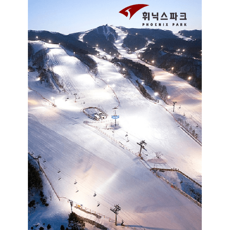 휘닉스 평창 스노우 파크 스키장 야경
