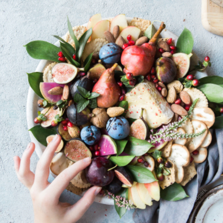 식물성 단백질 종류