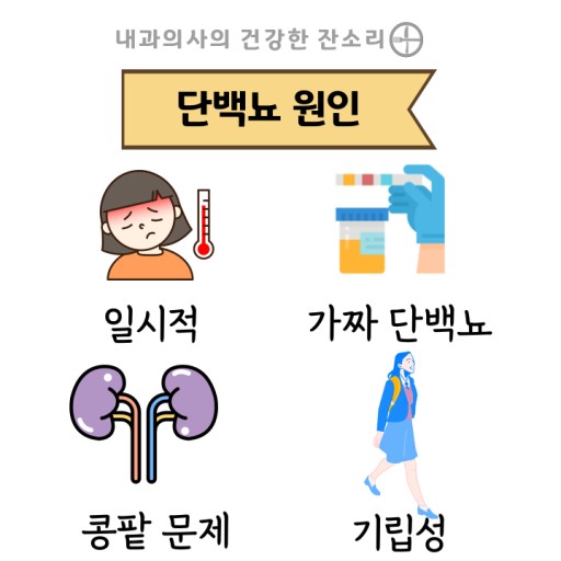 단백뇨의 원인/ 출처 - [네이버블로그] 내과의사의 건강한 잔소리