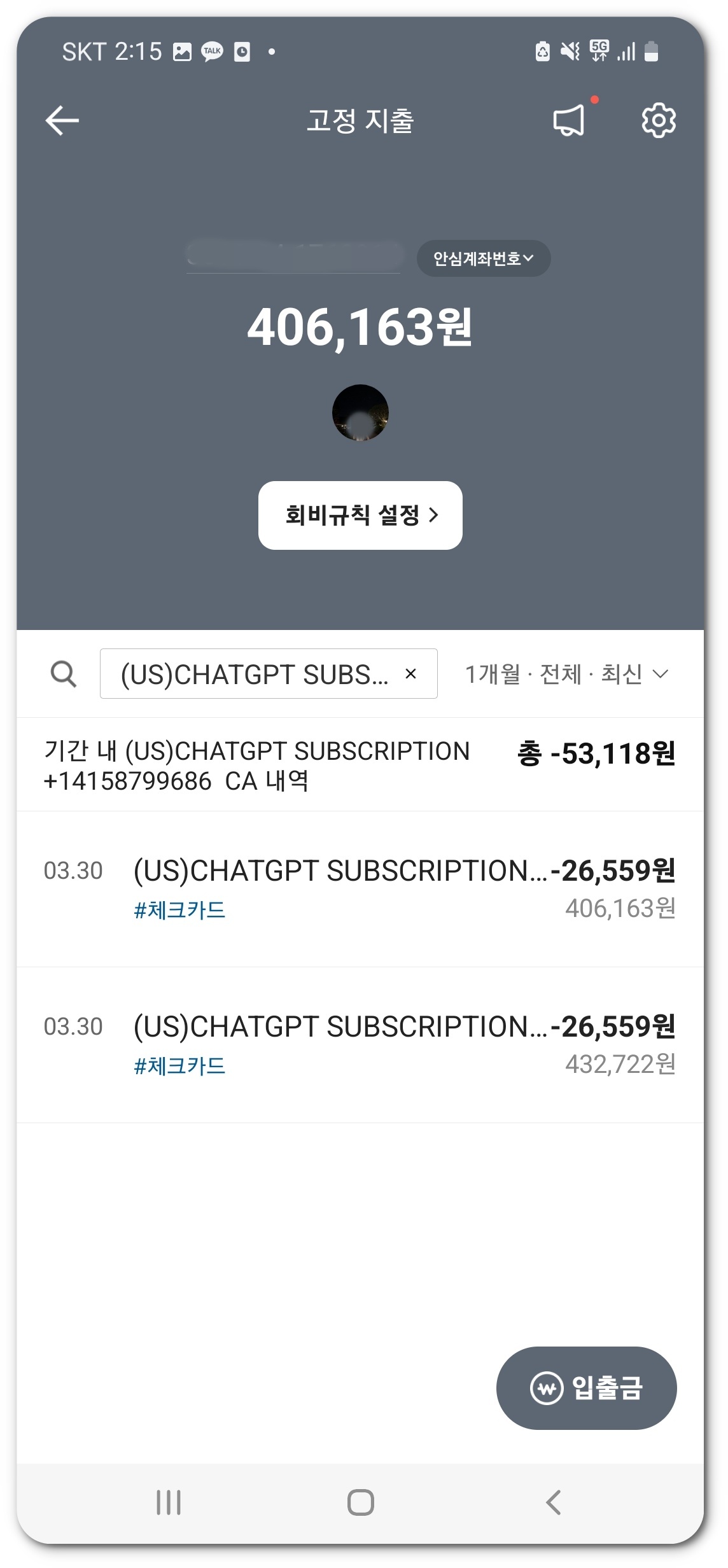 챗 GPT Plus 중복 결제 환불