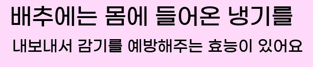  배추에는 몸에 들어온 냉기를 내보내서 감기를 예방해주는 효능이 있어요