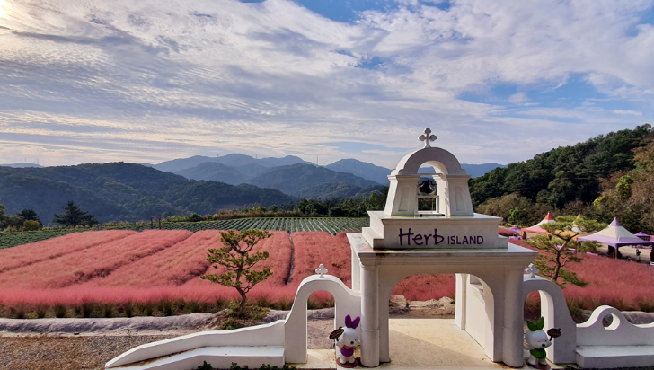 포천-아일랜드
