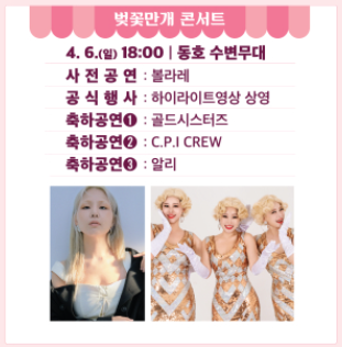 2025 송파구 석촌 호수 벚꽃 축제 안내 출처: 송파구 홈페이지