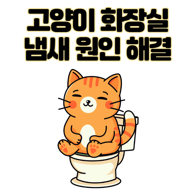 고양이 화장실 냄새 원인부터 해결까지 완벽 가이드
