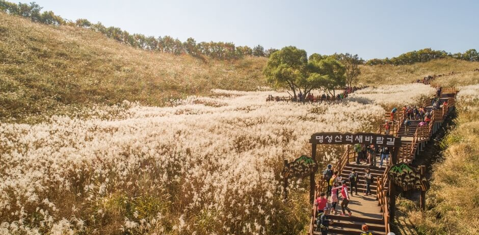 11월 여행지 추천 2024년 11월 한국 여행 11월 한국 여행지 TOP 10 가을 여행지 추천 한국 단풍 명소 억새 명소 추천 11월 가을 여행 추천 서울 억새밭 여행 제주도 가을 여행지 포천 명성산 억새 담양 메타세콰이아길 수원 방화수류정 피크닉 고성 미시령 은하수 11월 여행 코스 전라북도 부안 노을 세종시 국립수목원 당일치기 여행지 한국 가을 여행 코스 서울 가을 야경 명소 11월 당일치기 추천