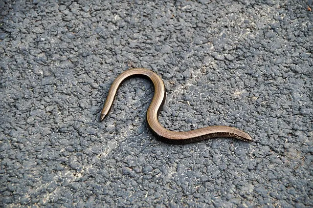 안되네요 안돼네요 맞춤법 참고 자료집_4