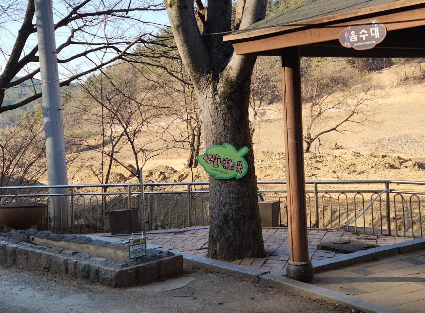 계족산 황톳길4