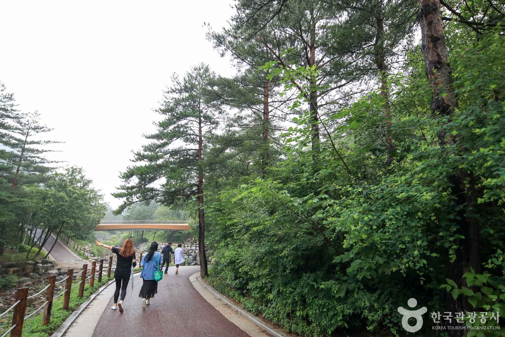 솔향수목원