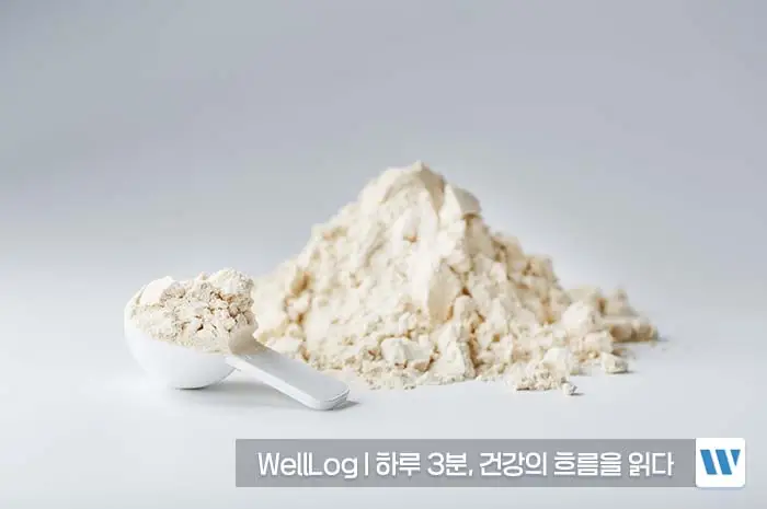 알부민의 효능 복용법 부작용