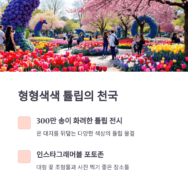 임자도 튤립축제