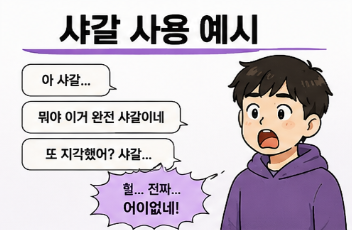 샤갈 뜻 신조어 총정리, 밤티 야르 난리자베스 커터칼퇴 무슨 뜻일까?2