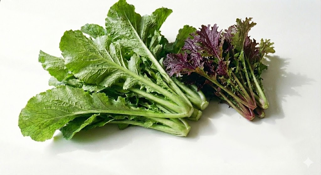 천연 항암제 시니그린의 응축, 톡 쏘는 초록 백신 겨자채