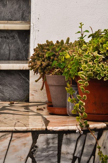 Day 19. 잎사귀 하나 떨어진 날의 깨달음