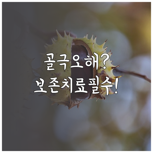 족저근막염 골극 제보 오해와 보존적 ..