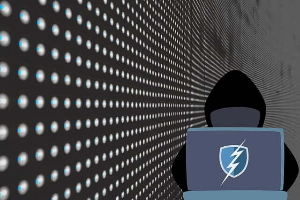 엠세이퍼 명의도용방지서비스