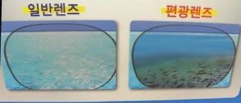 편광렌즈란 확인법, 단점 선글라스 가격 도수 추천 선글라스 필수 팁_8