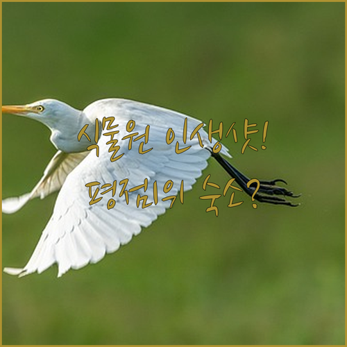 울란바토르 국립식물원 포토존 위치와 ..