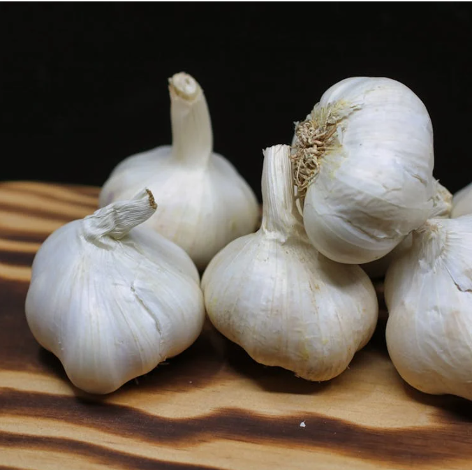 코에 좋은 음식