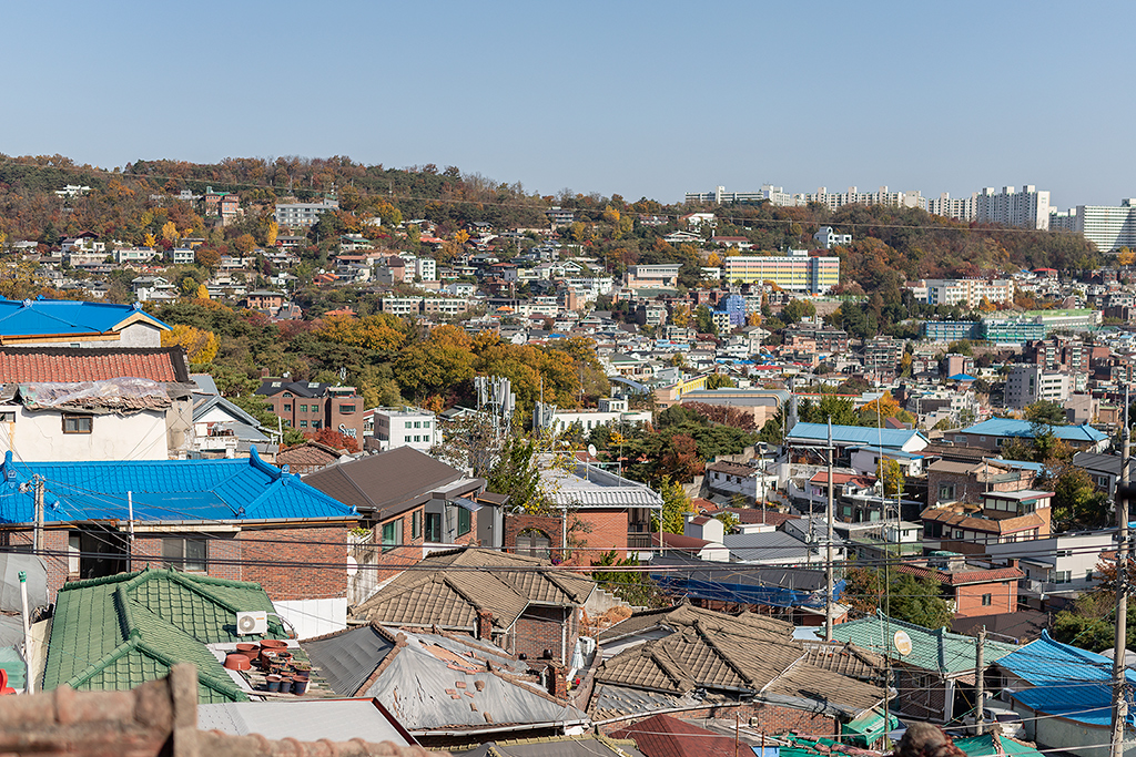 혜화문
성북동
한양도성길
백악구간
서울여행
서울단풍
가을단풍
단풍
성벽
와룡공원