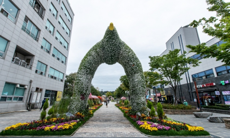 생생정보 강릉택시맛객
